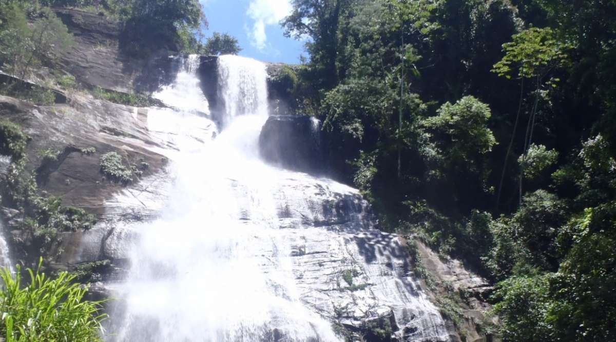Parque municipal Nova Iguaçu