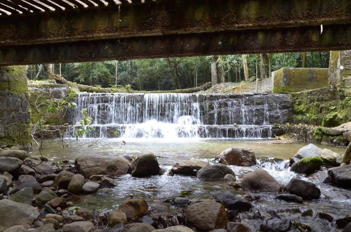 Parque municipal Nova Iguaçu