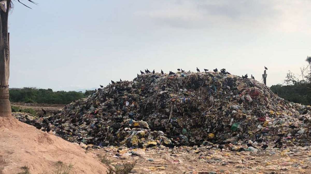 Prefeito e Secretário de meio ambiente de Magé são indiciados por crime ambiental