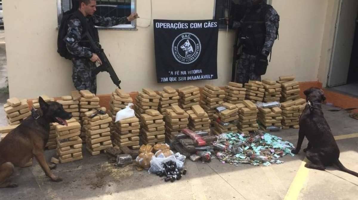 No Mandela, o Batalhão de Polícia de Choque efetuou quatro prisões, apreendeu uma moto roubada e drogas
