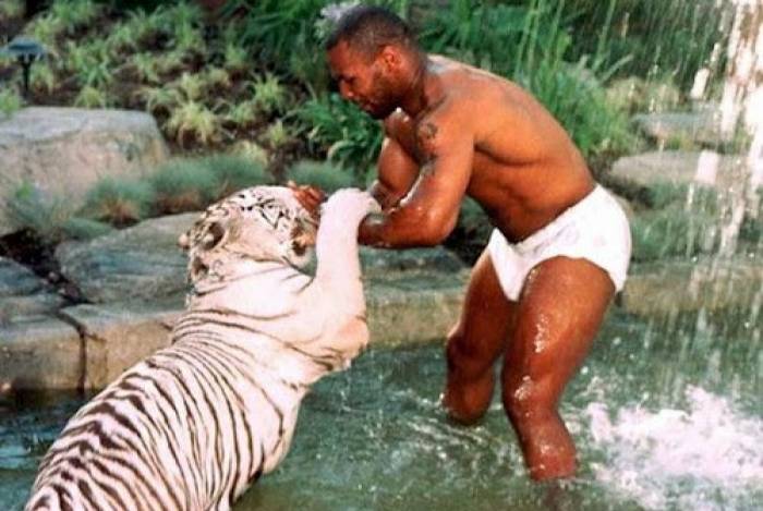 Quanto custa o Tigre do Mike Tyson?