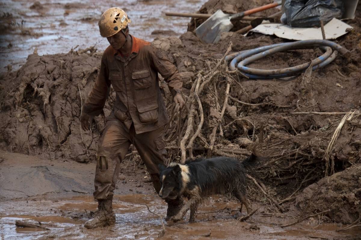 Um bombeiro e seu cão de resgate buscam por vítimas do rompimento da barragem de sexta-feira em uma mina de minério de ferro 