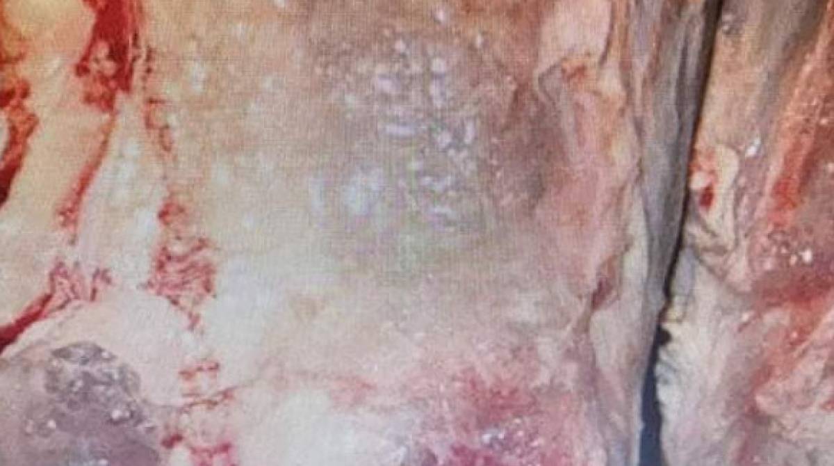 Material encontrado durante a&ccedil;&atilde;o da delegacia