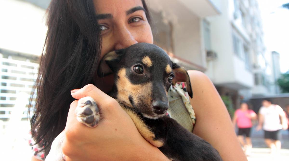 Rio de Janeiro 30/01/2019 - Projeto Amor aos animais das comunidades. Barraca de doacao de animais montada na calcada da rua Marques de Abrantes em frente ao numero 142.Na foto:Luisa Baldanza.Foto: Fernanda Dias / Agencia O Dia.