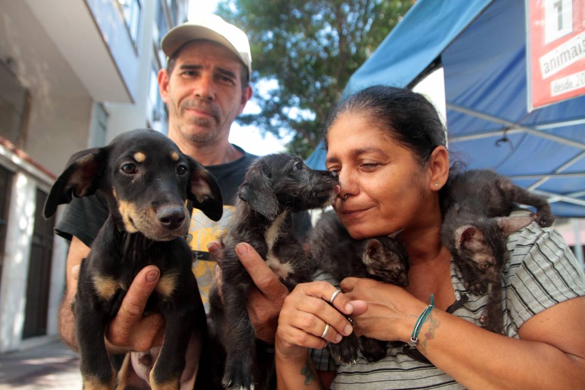 Rio de Janeiro 30/01/2019 - Projeto Amor aos animais das comunidades. Barraca de doacao de animais montada na calcada da rua Marques de Abrantes em frente ao numero 142.Na foto: Joelson Torres e Anna Buccino, coordenadora do projeto.Foto: Fernanda Dias / Agencia O Dia.