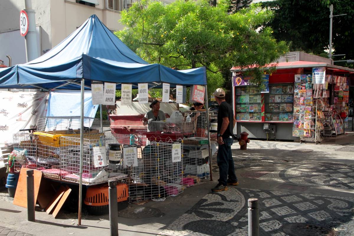 Rio de Janeiro 30/01/2019 - Projeto Amor aos animais das comunidades. Barraca de doacao de animais montada na calcada da rua Marques de Abrantes em frente ao numero 142.Foto: Fernanda Dias / Agencia O Dia.