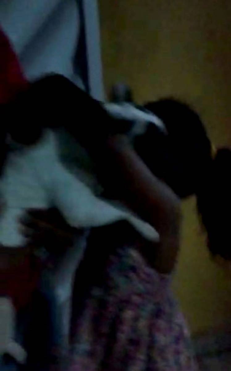 A pequena Sophia comemora o reencontro com seus animais de estimação - Arquivo Pessoal