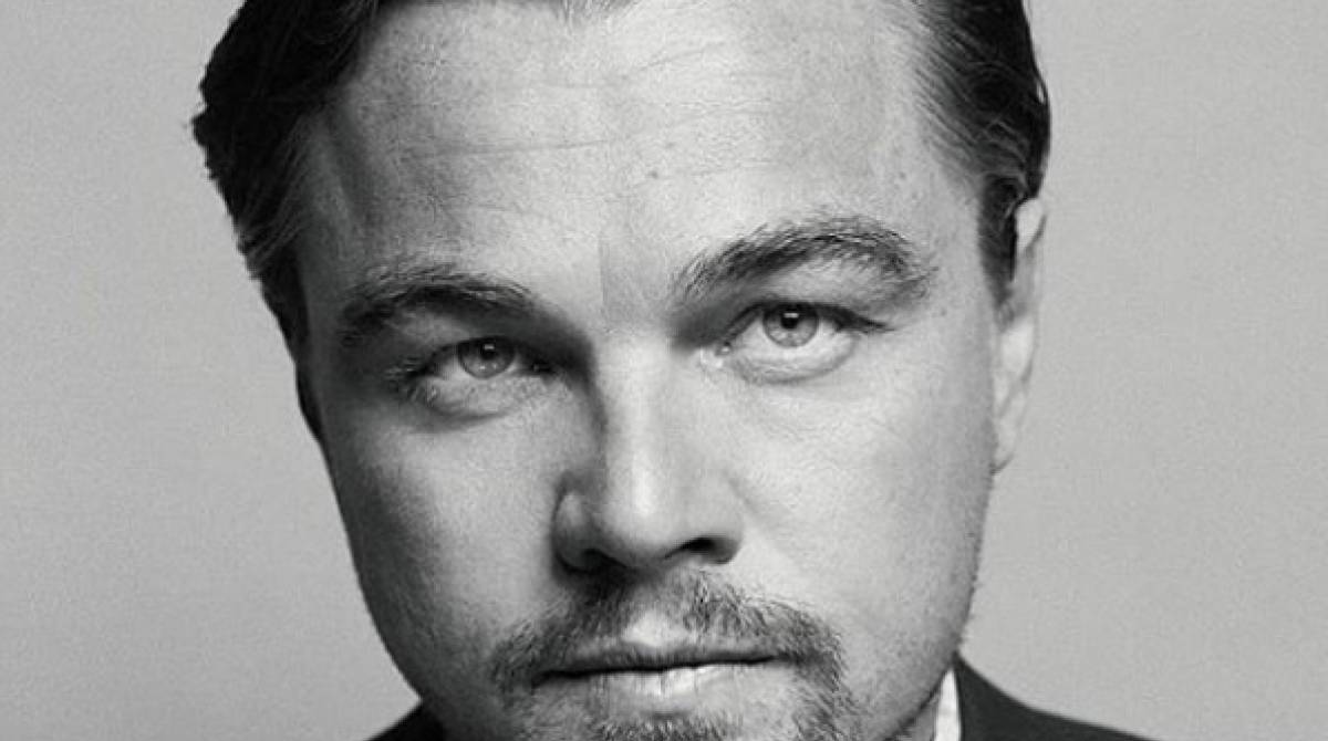 Leonardo DiCaprio - Internet