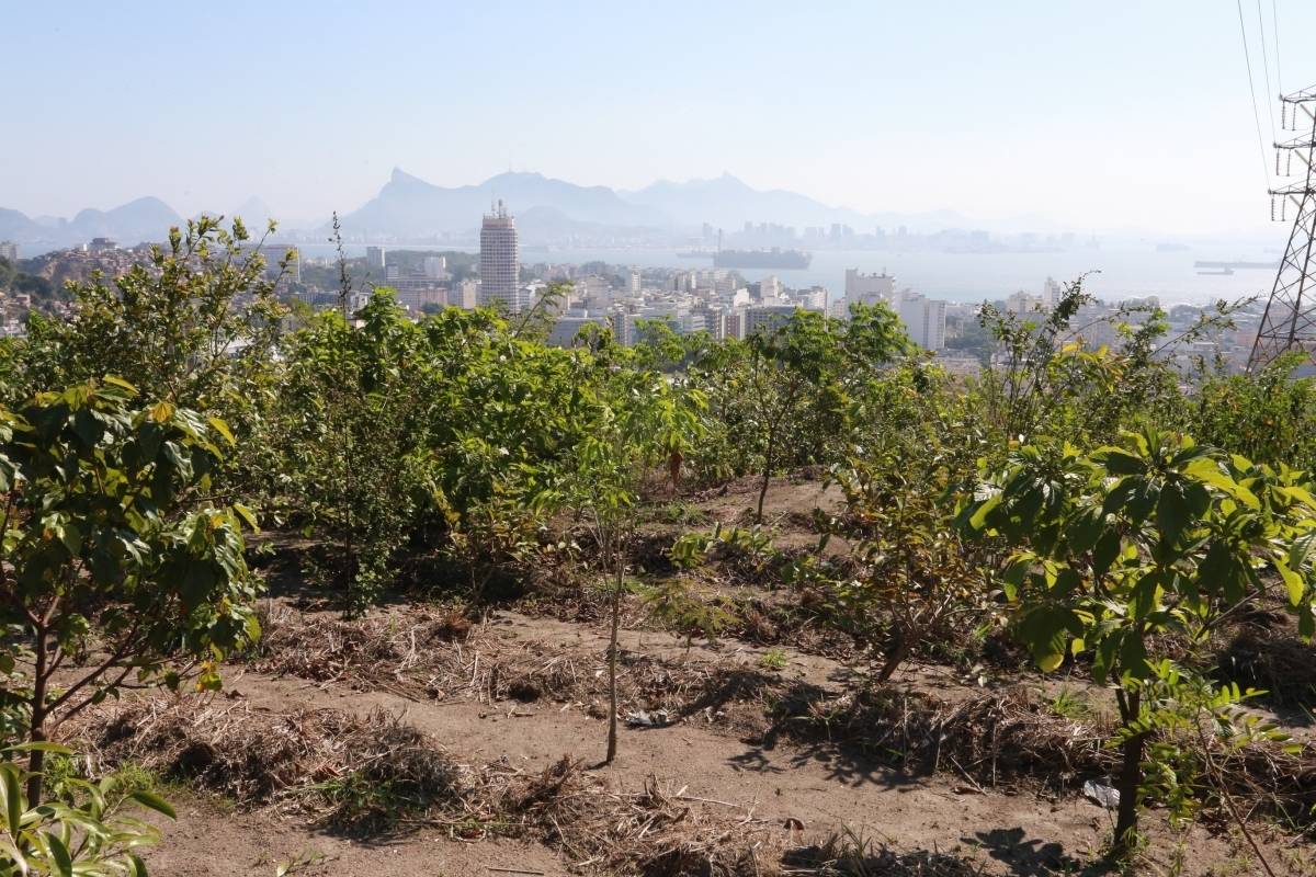 Prefeitura de Niterói vai criar novo Parque Natural Municipal 