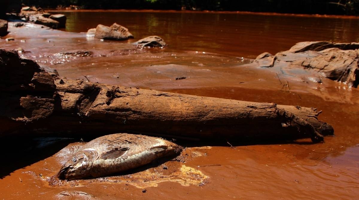 Metabase Brumadinho entra com a&ccedil;&atilde;o de R$ 470 milh&otilde;es contra Vale
