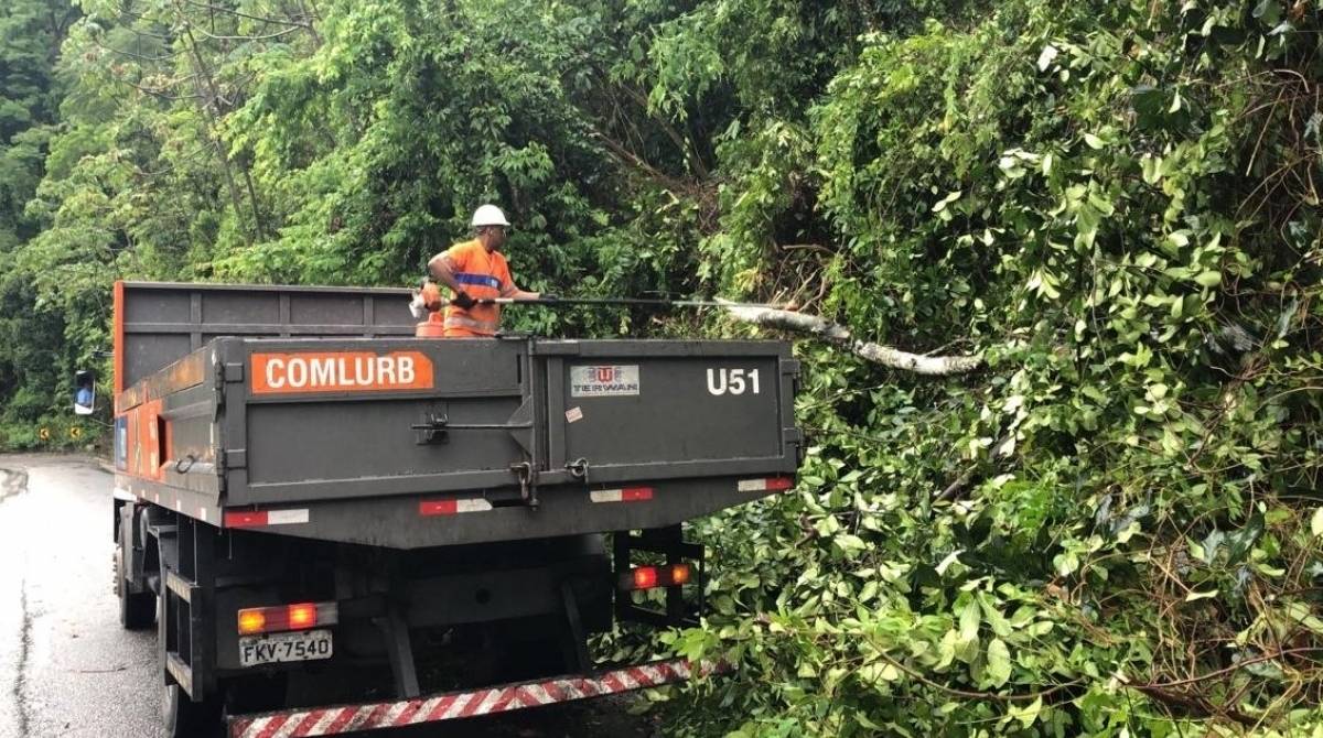 Comlurb trabalha na retirada de &aacute;rvore ca&iacute;da na Graja&uacute;-Jacarepagu&aacute;