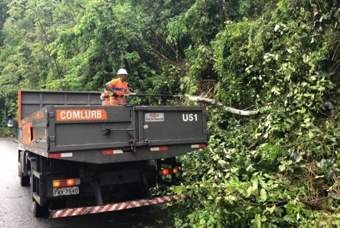 Comlurb trabalha na retirada de árvore caída na Grajaú-Jacarepaguá