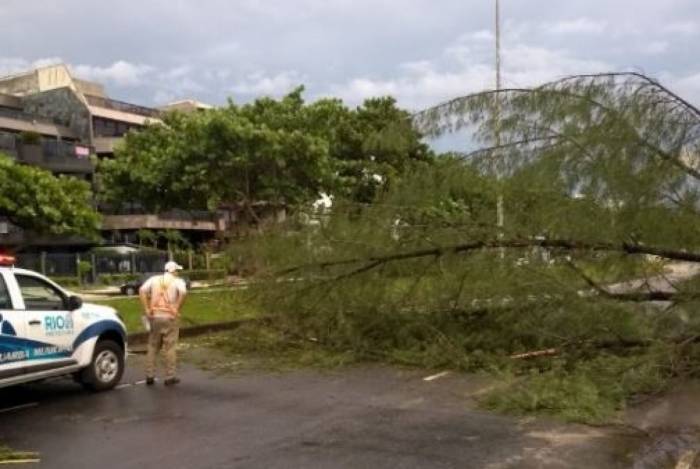 Avenida Lúcio Costa, na altura da Reserva, na Barra, fechada após queda de árvore
