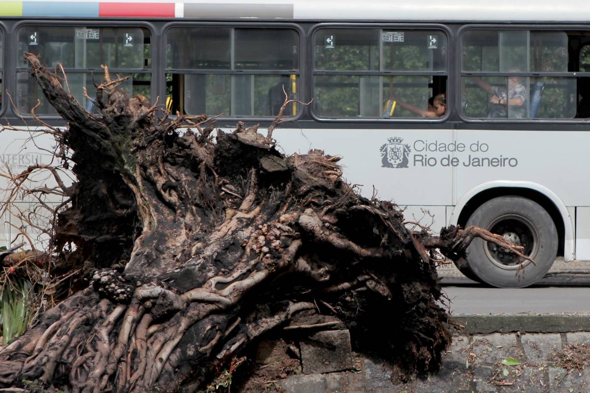 Temporal deixa rastro de destruição e causa mortes no Rio