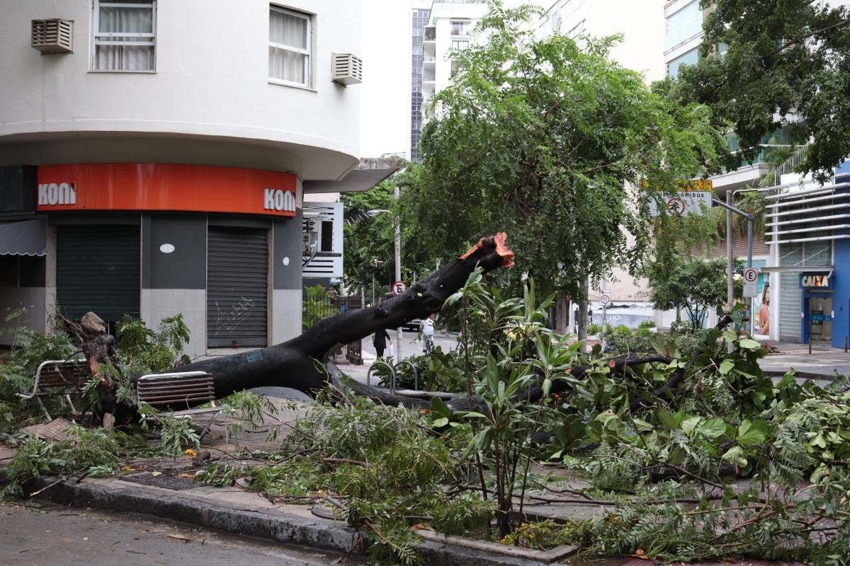 Rua Viúva Lacerda, no Humaitá