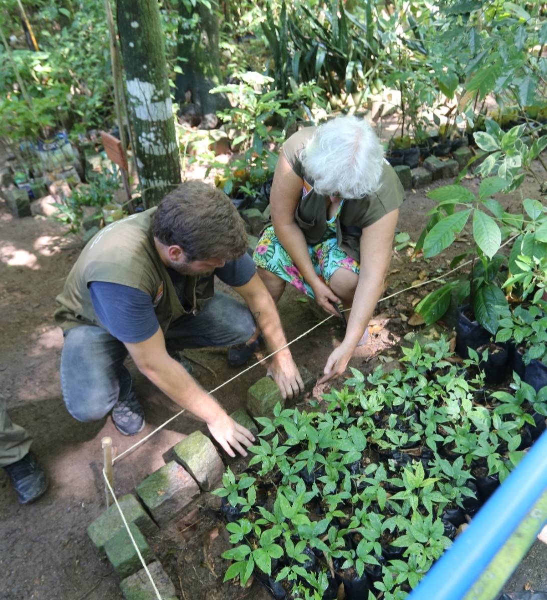 Equipes da SMARHS e do Horto-Viveiro da UFF em vistoria de mudas - Divulgação 