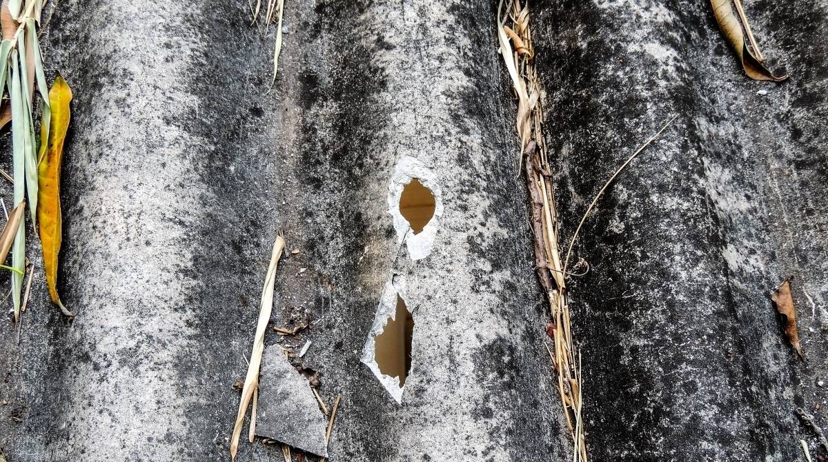 Defensoria Pública, Falet. ThaThiana Gurgel/Defensoria Pública