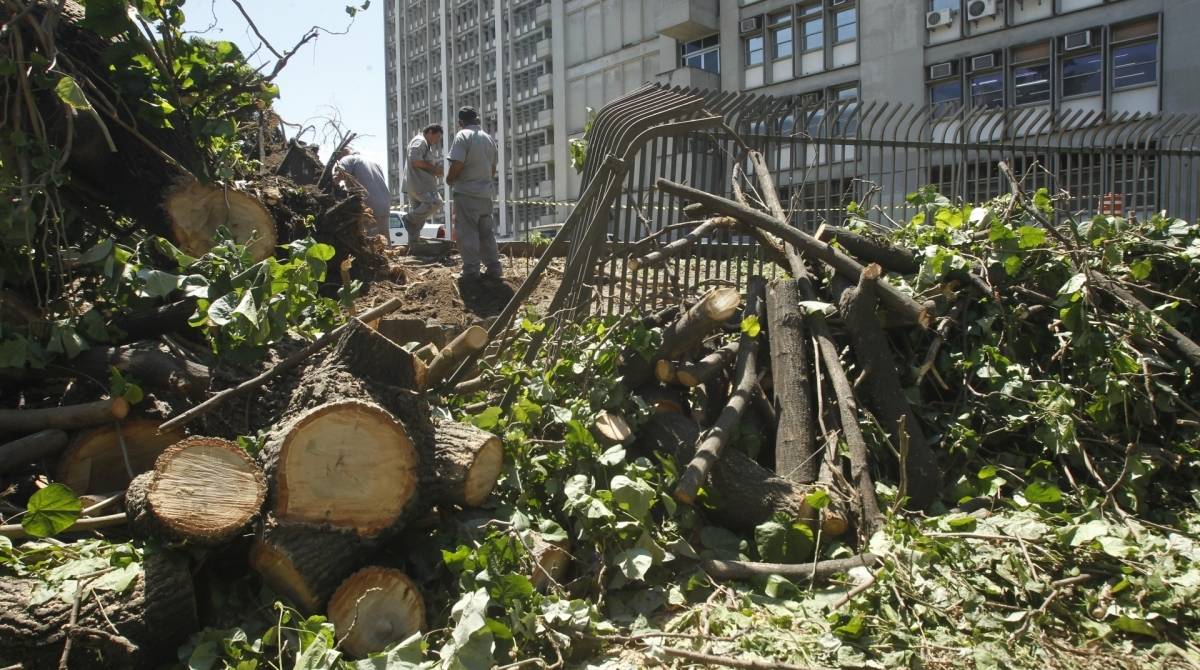 Tempestade de chuva e vento provoca estragos em ruas pela queda de &aacute;rvores e rompimento de cabos de energia na Zona Norte. Na foto, Muro da UERJ, quebrado com a queda de &aacute;rvore. 