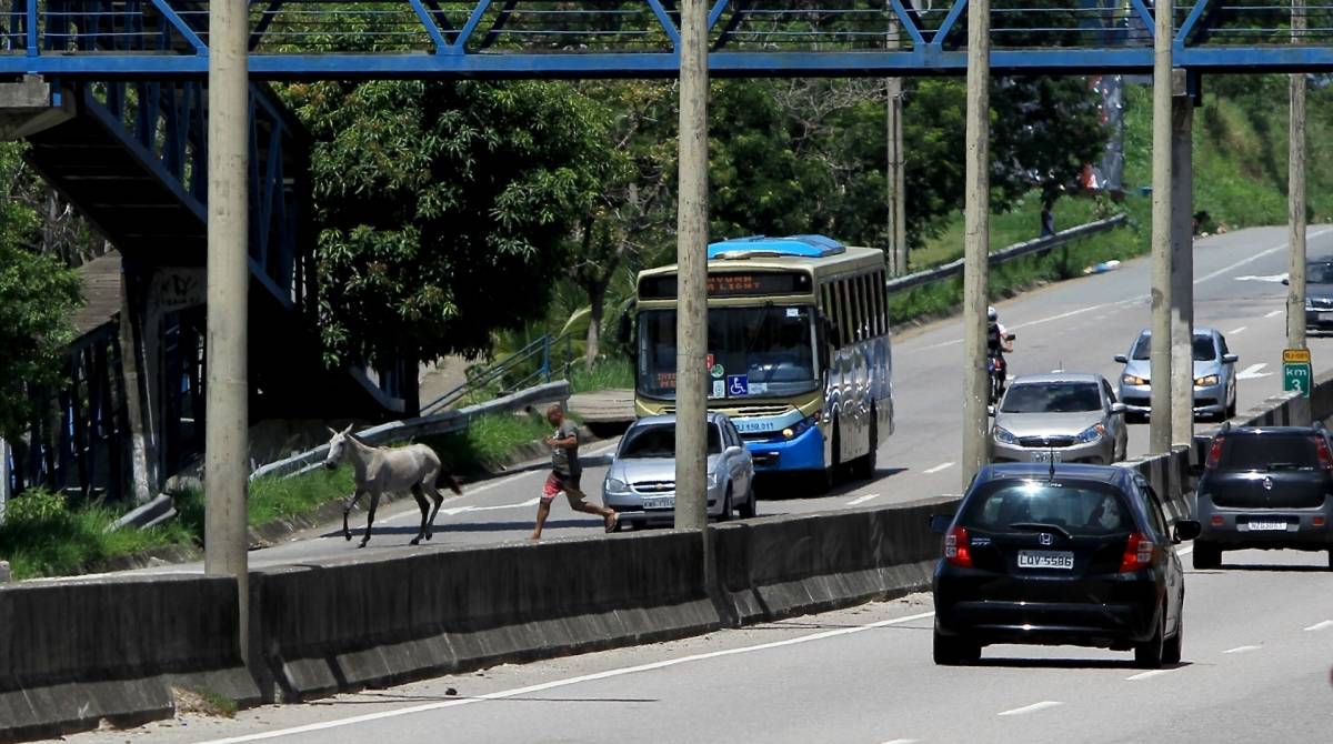 Suspeitos roubaram o ve&iacute;culo na Via Light, em dire&ccedil;&atilde;o a Nil&oacute;polis - Luciano Belford/Ag&ecirc;ncia O Dia