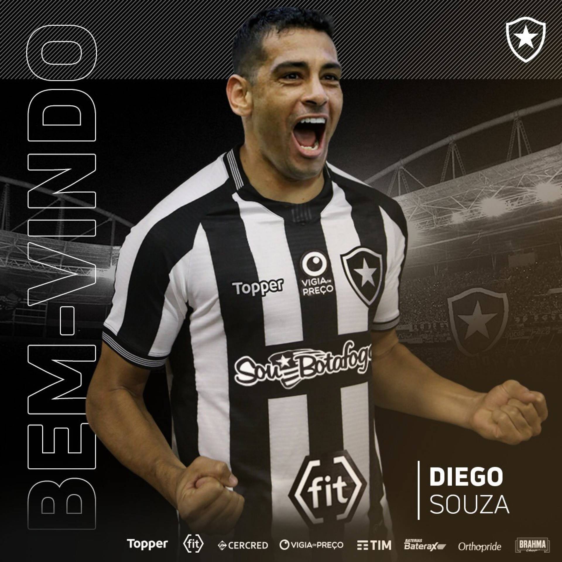 Botafogo Anuncia Oficialmente Contratação De Diego Souza | Botafogo | O Dia