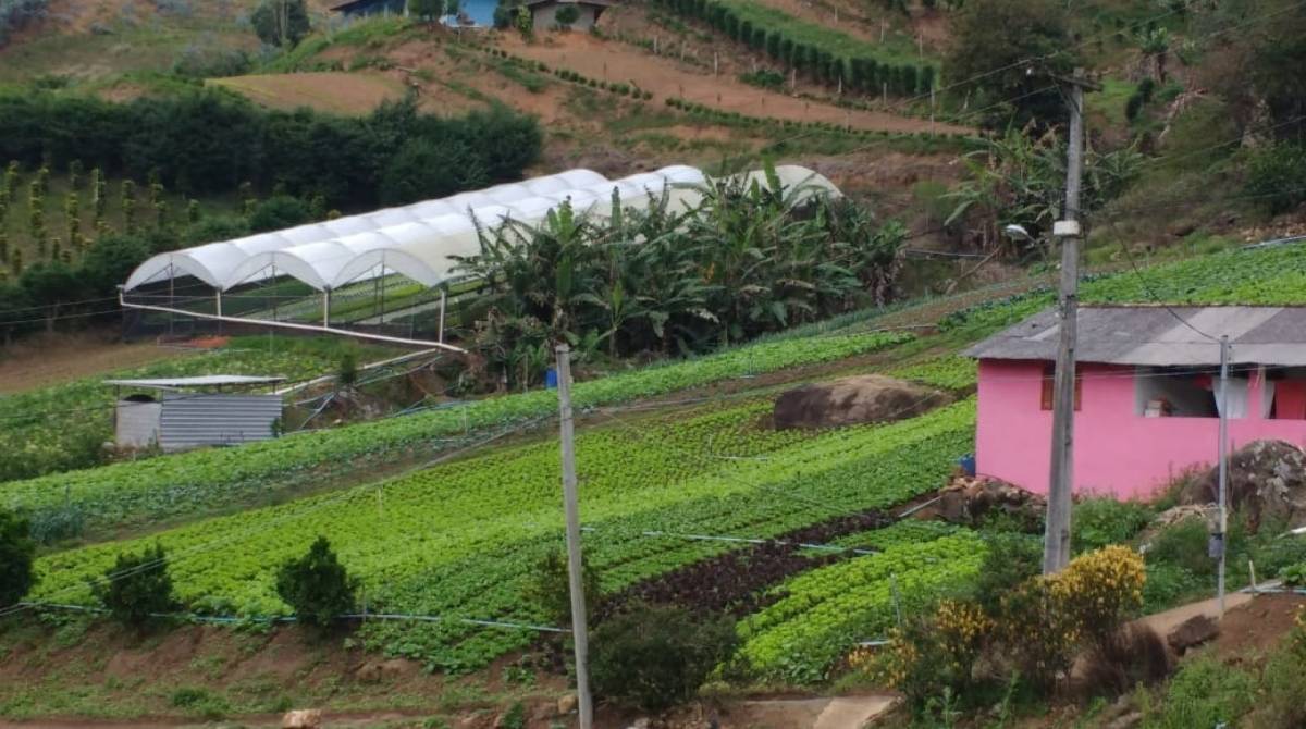 Projeto vai custear famílias de produtores rurais na recuperação de áreas degradas em Petrópolis - DIVULGAÇÃO