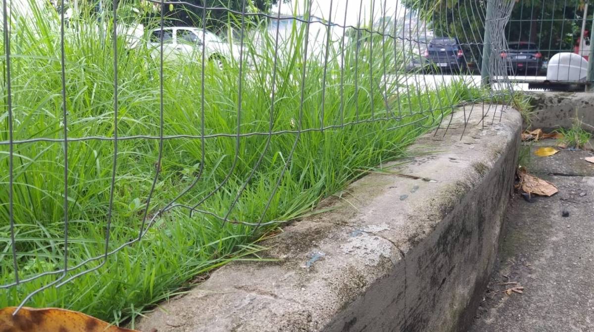 Na Escola Municipal Tia ciata, hÃ¡ cinco  cÃ¢meras de monitoramento (trÃªs aparentemente inoperantes), portÃµes fechado. Nenhum seguranÃ§a ou vigilante na parte externa. Muro gradeado, com avarias e de fÃ¡cil invasÃ£o. Altura aproximada de dois metros