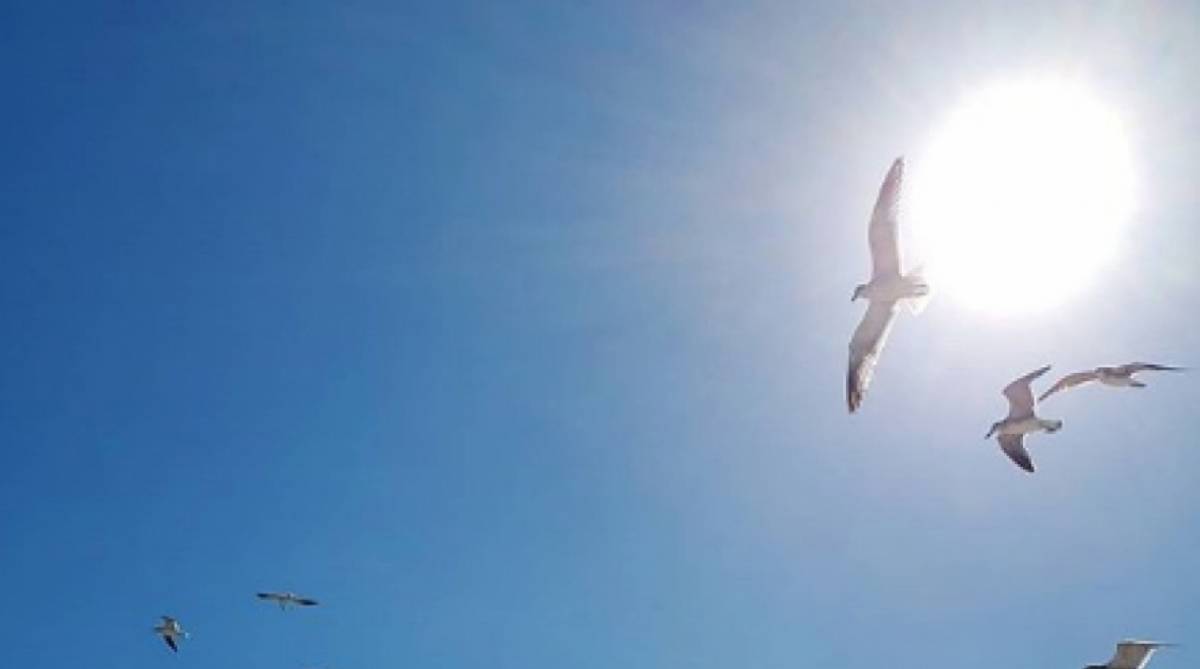 Lívia Andrade curte viagem ao México 