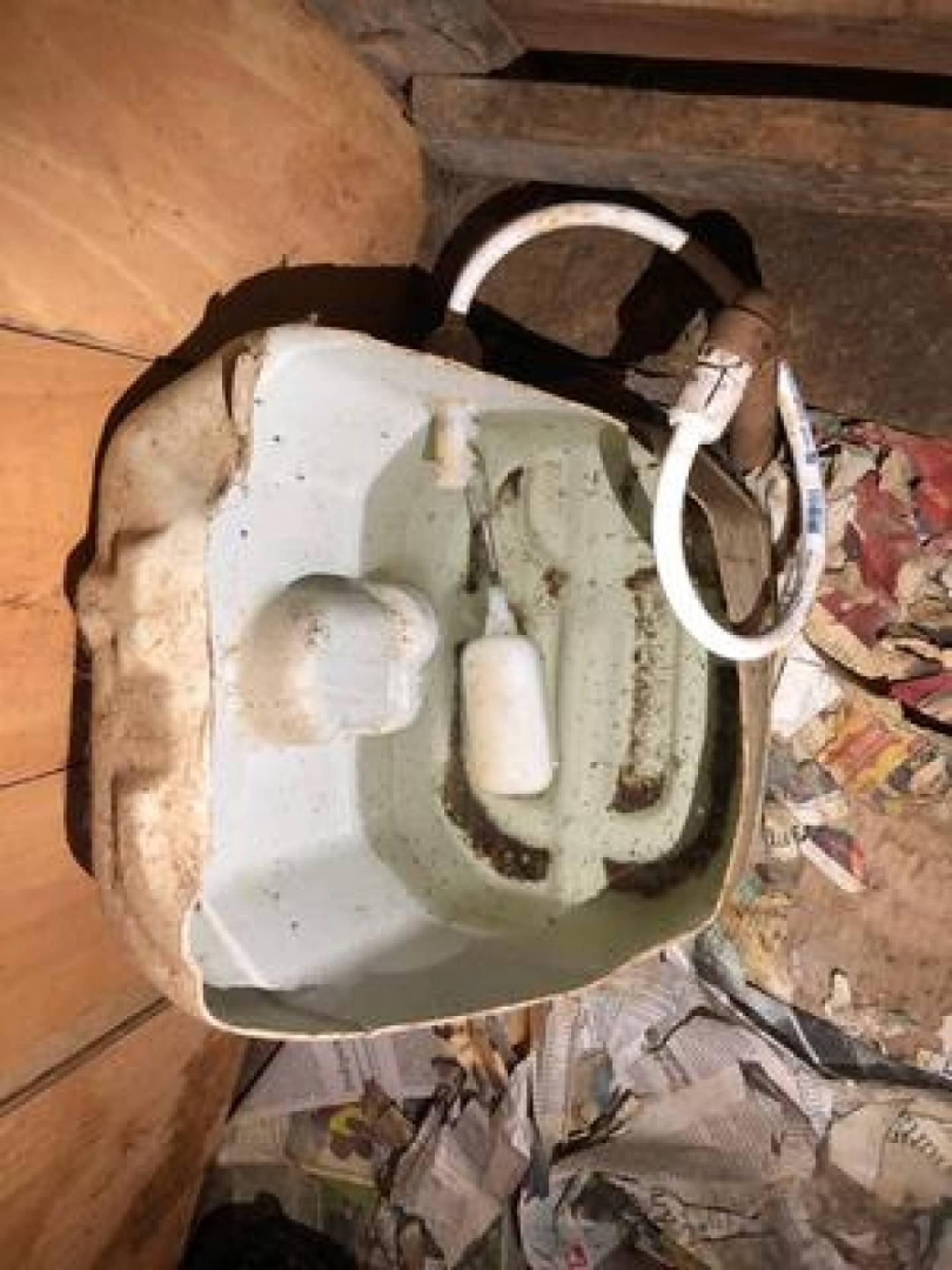 Foram encontradas medicações vencidas, sem receitas veterinárias. 
