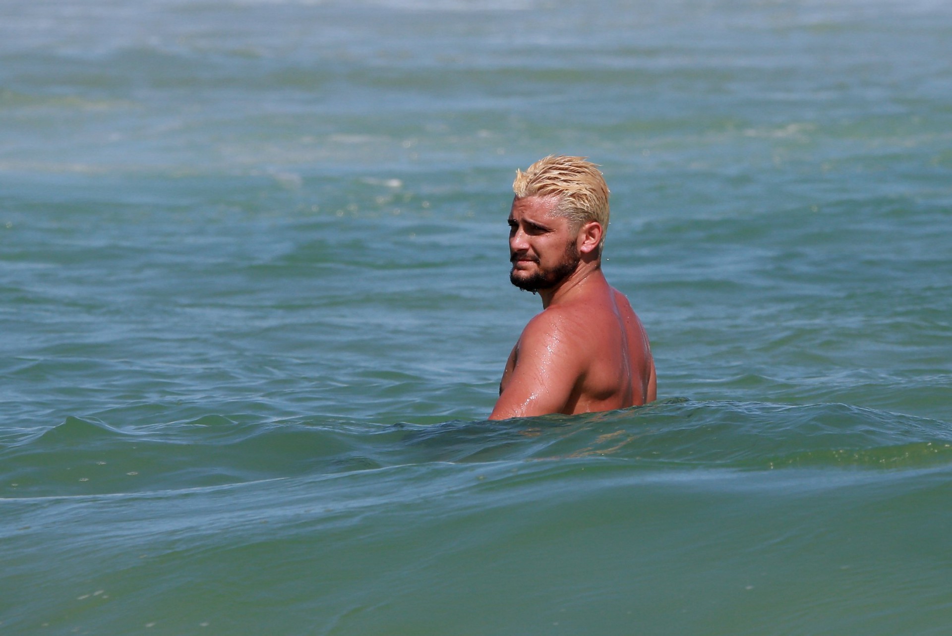 Bruno Gissoni - Picasa