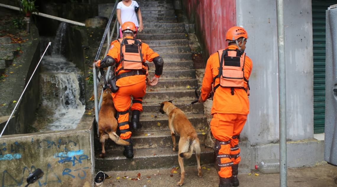 Bombeiros trabalham com cães farejadores para encontrar desaparecido no Morro da Babilônia