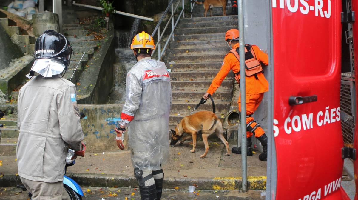 Bombeiros trabalham com c&atilde;es farejadores no Morro da Babil&ocirc;nia