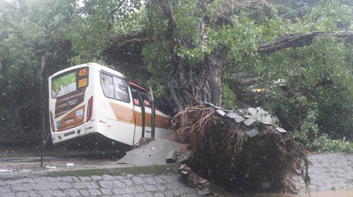 Na Avenida Visconde de Albuquerque, duas &aacute;rvores ca&iacute;ram na via e uma delas atingiu dois &ocirc;nibus e carros de passeio