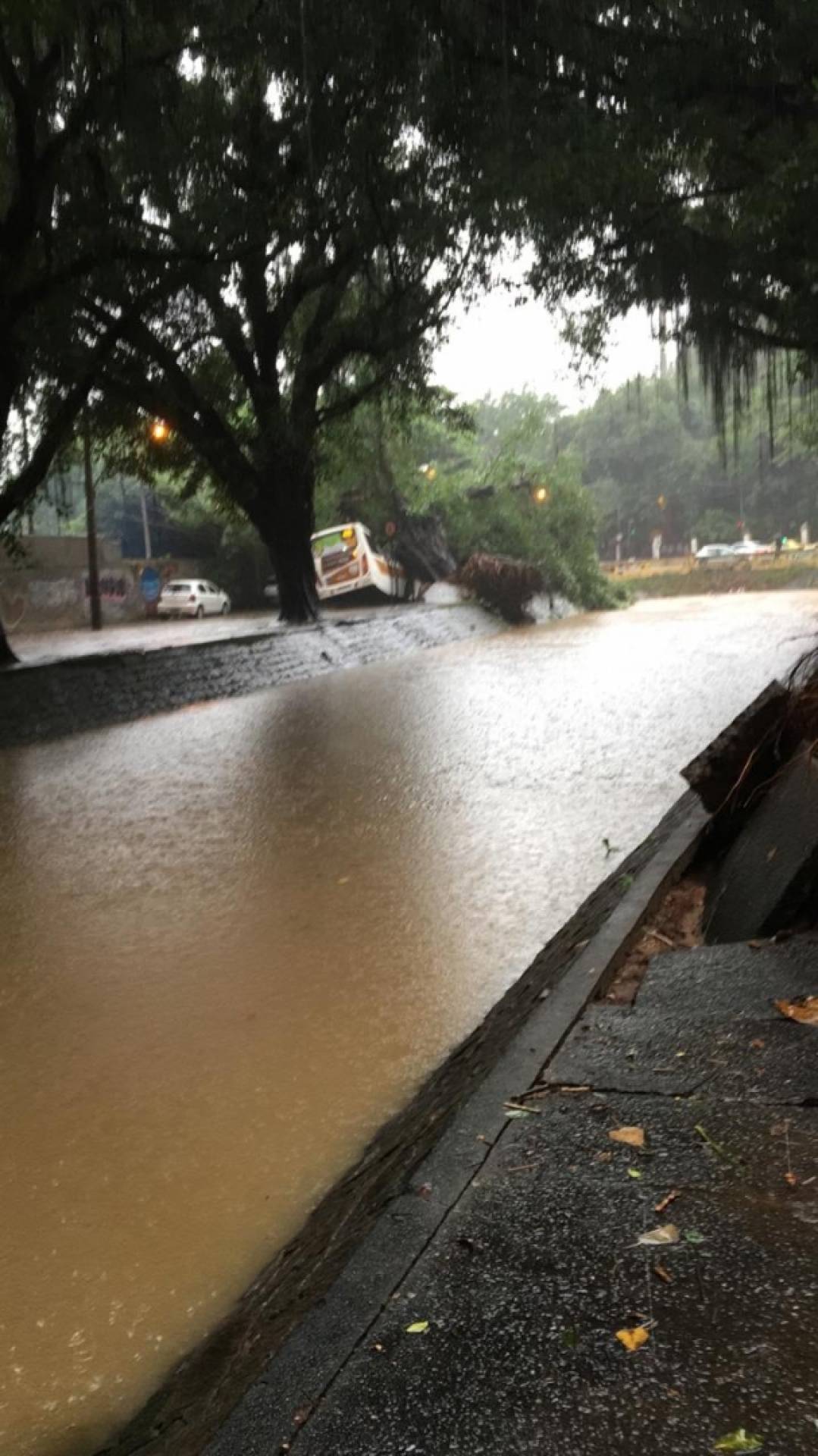 Um ônibus foi atingido por uma árvore, na Gávea, mas ninguém ficou ferido