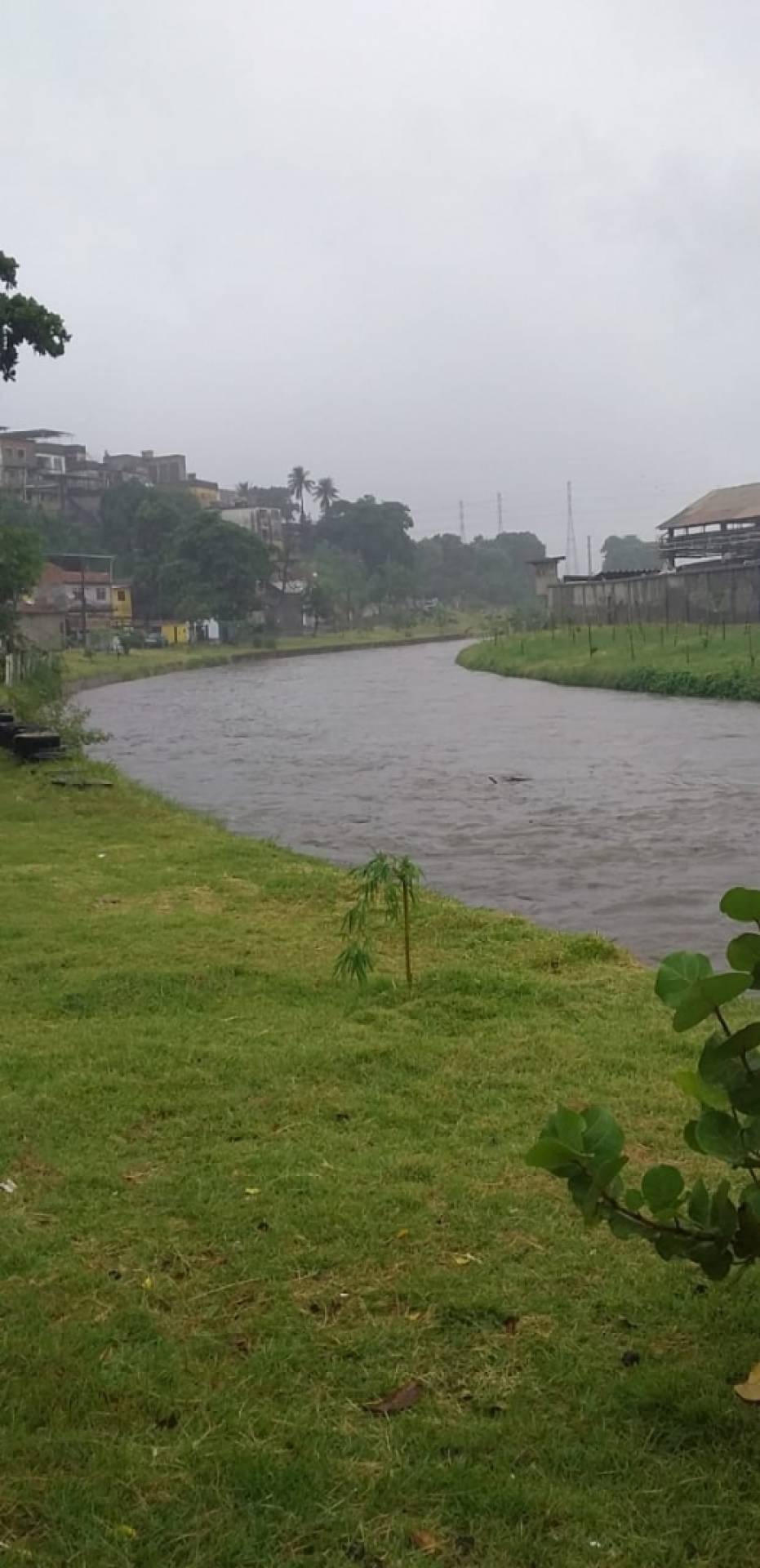 Honório Gurgel, na Zona Norte