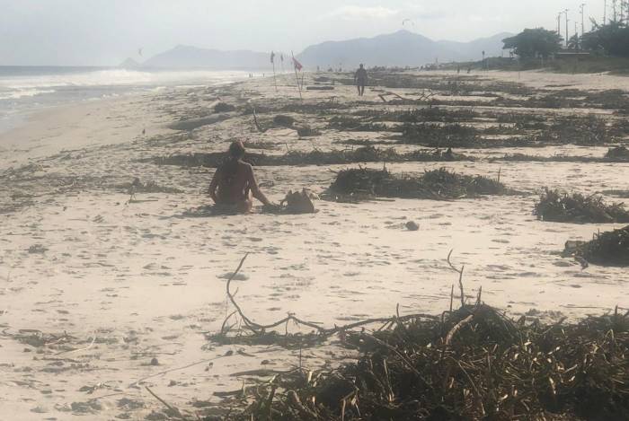 Praia da Barra da Tijuca tomada por gigogas e lixo: imagem assusta internautas