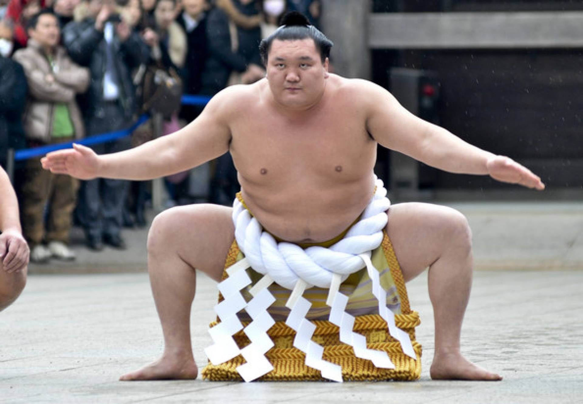 Что такое сумо. Гигантский борец сумо Япония. Йокодзуна Мицугу. Борец сумо Монголия.