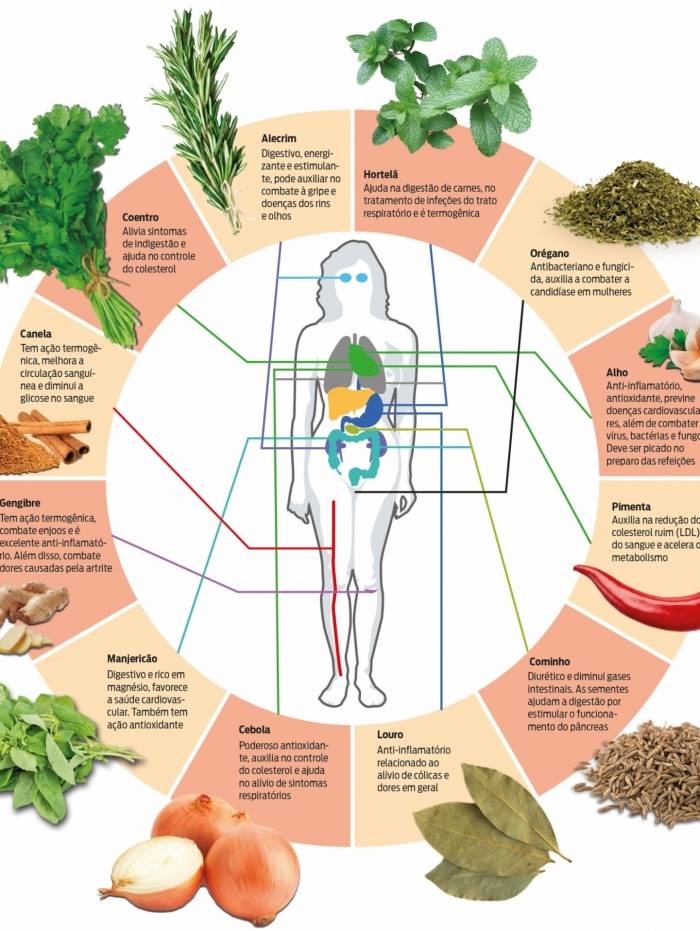 Temperos evitam hipertens&atilde;o, s&atilde;o termog&ecirc;nicos e previnem doen&ccedil;as