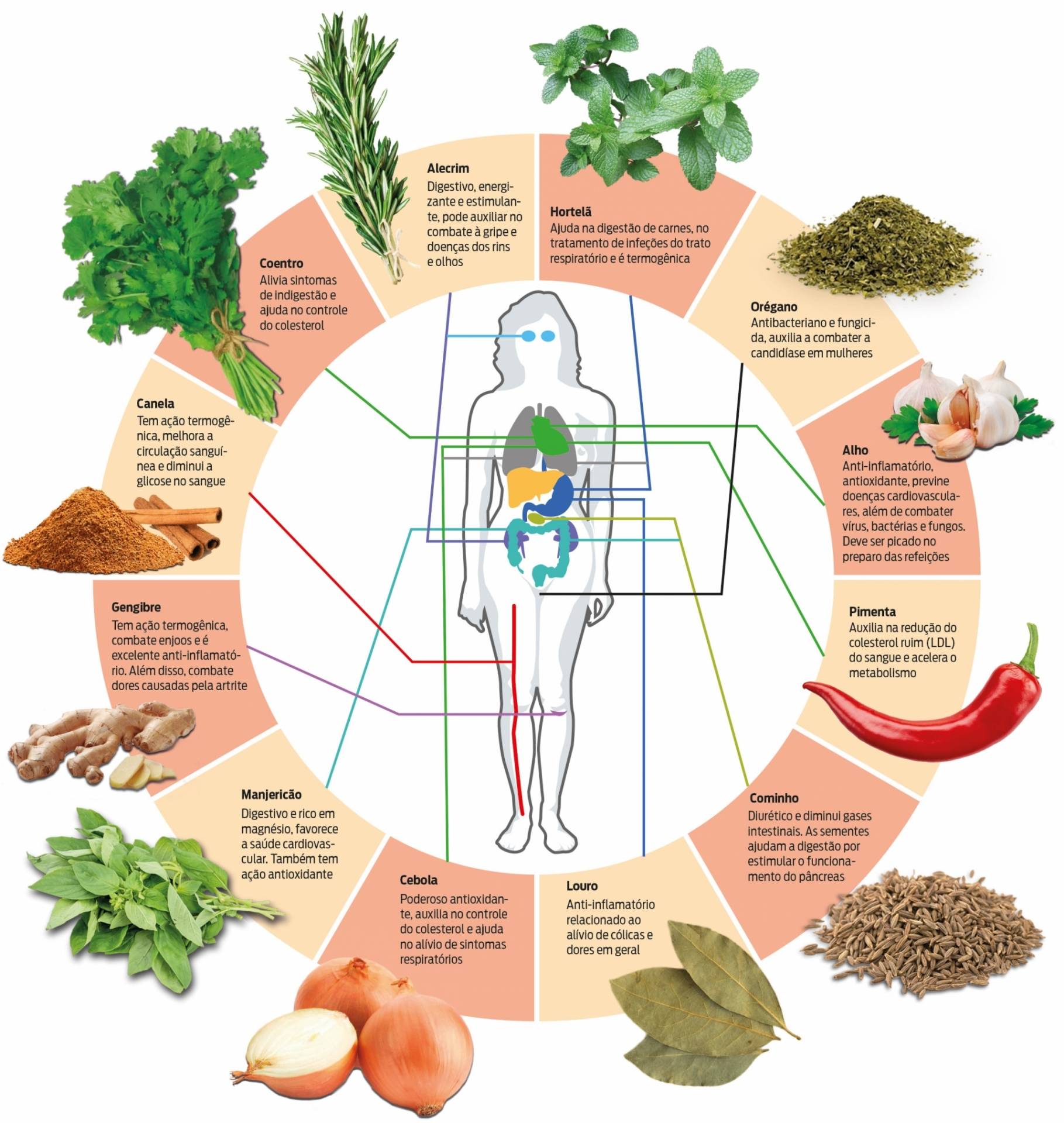 Tempero, um bom remédio - Agência O Dia