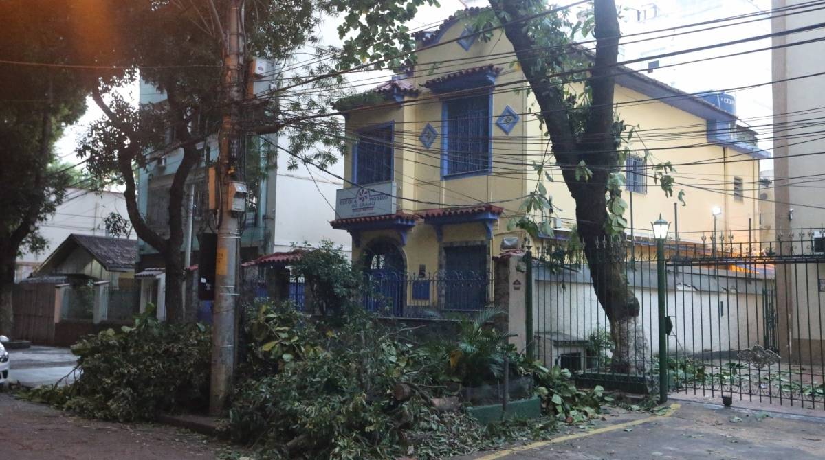 Queda de árvore deixa um escola sem aula na Rua Grajaú, no bairro Grajaú. Foto: Daniel Castelo Branco / Agência O Dia