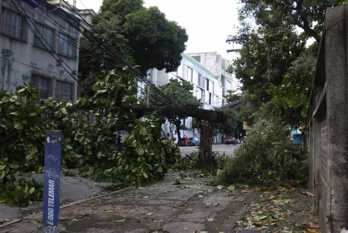 Árvore caída na Rua Marques de Pombal, no Centro do Rio