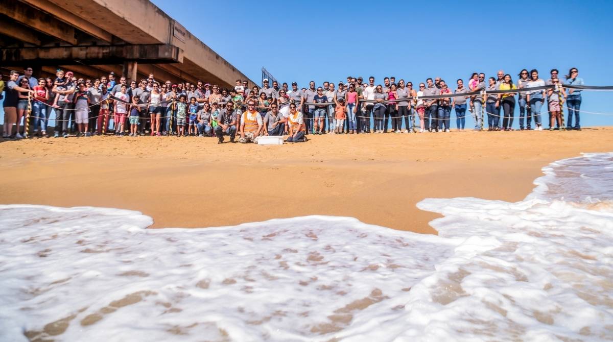 Durante o período reprodutivo, que vai de setembro a março, a equipe ainda tem a missão de localizar os ninhos, identificá-los e acompanhá-los até o nascimento dos filho