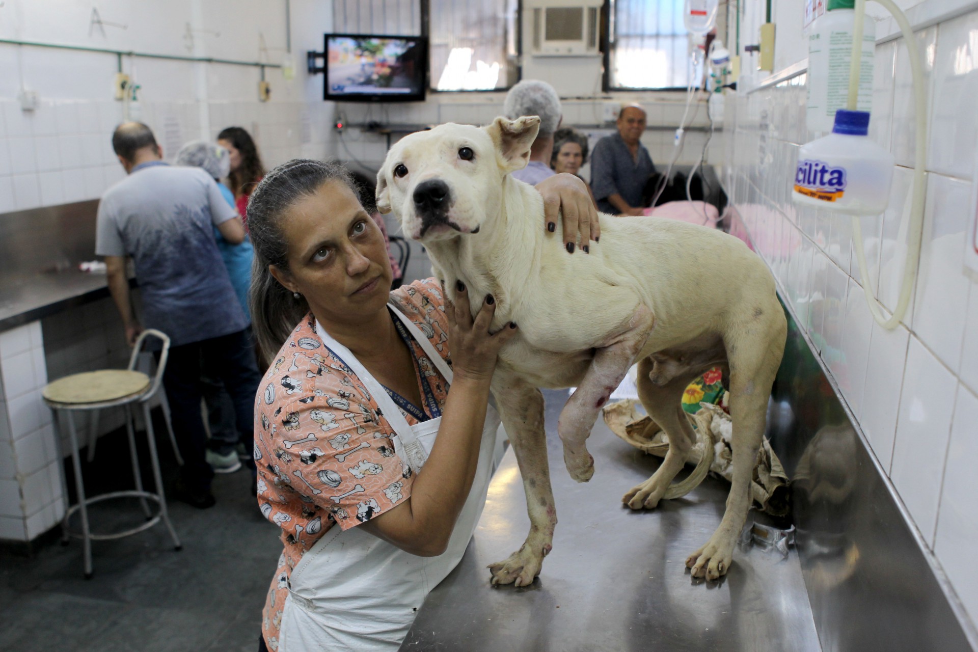 Suipa promove 'c&atilde;ominhada' para arrecadar doa&ccedil;&otilde;es e rem&eacute;dios em Copacabana