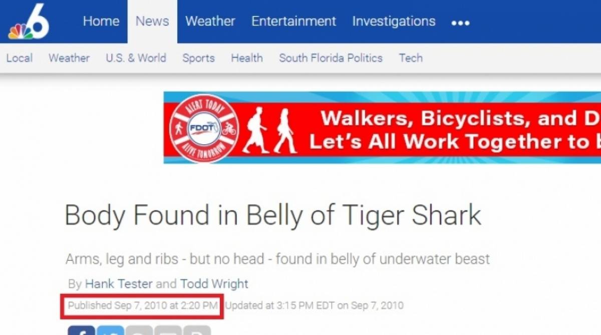 É mentira informação sobre tubarão com restos de humanos numa praia do Rio de Janeiro - Reprodução