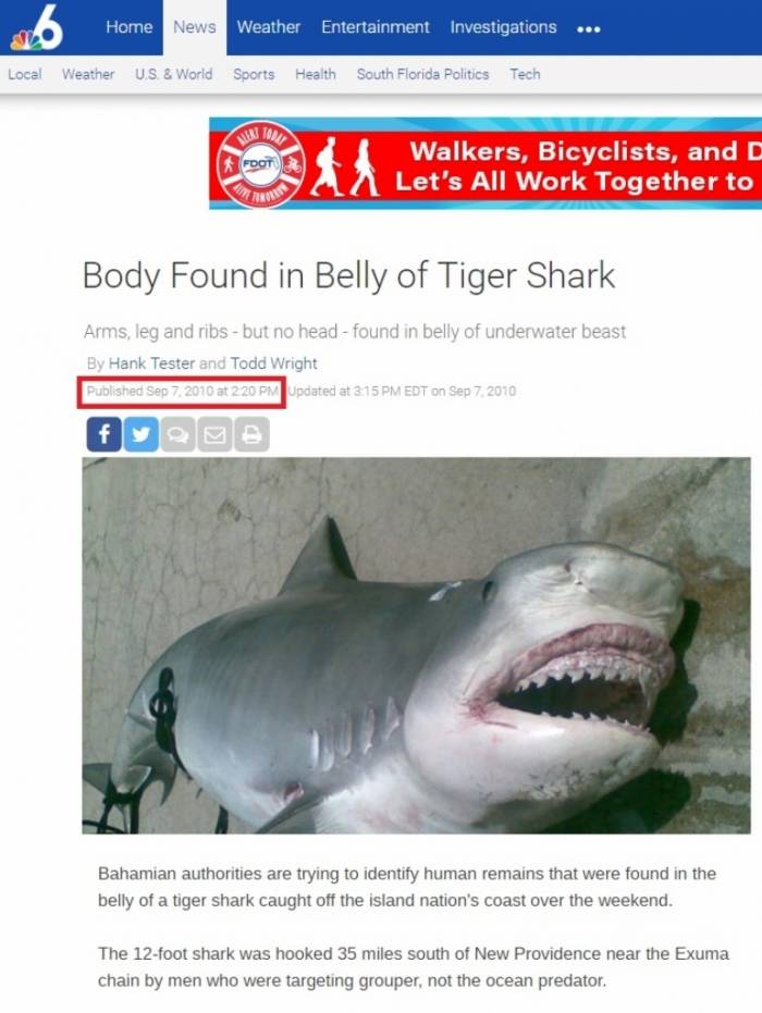 É mentira informação sobre tubarão com restos de humanos numa praia do Rio de Janeiro