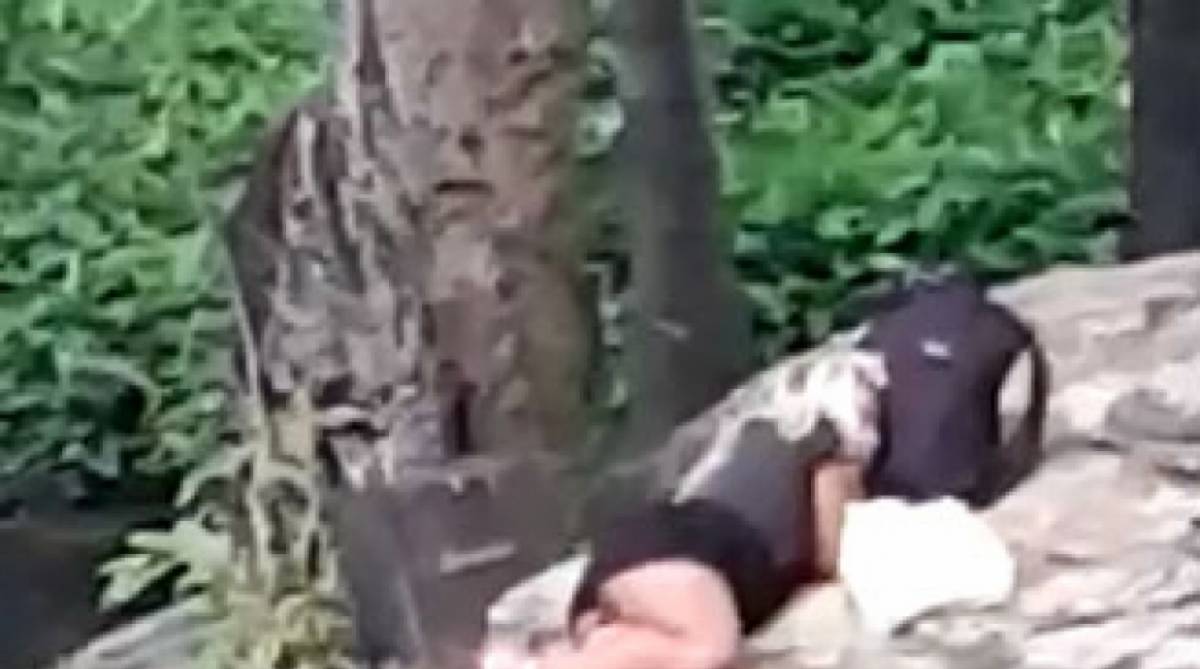 Família recebeu vídeo de uma pessoa dormindo no Museu do Catete que poderia ser a vendedora