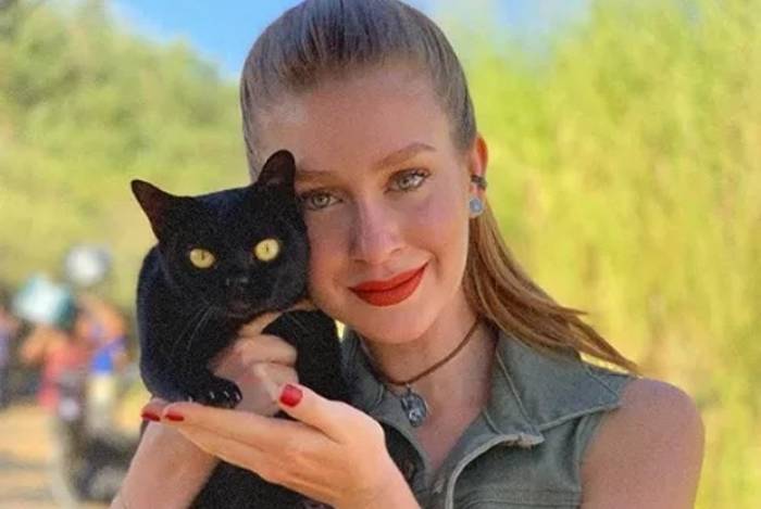 Marina Ruy Barbosa vai adotar gatinho de 'O Sétimo Guardião'