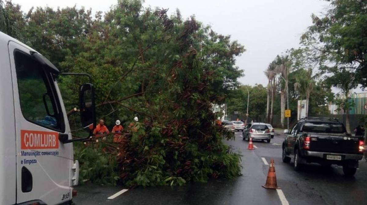 Queda de árvore na Avenida José Silva de Azevedo Neto, próximo ao Shopping Via Parque, na Barra