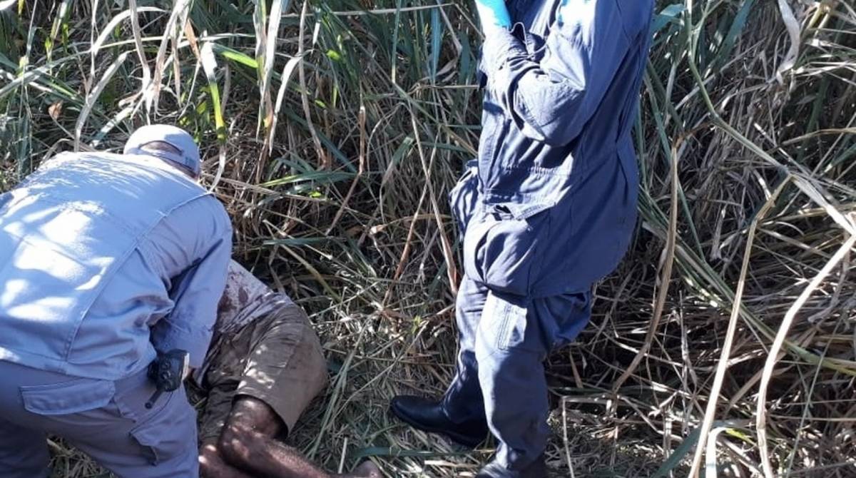 Motorista recebeu os primeiros atendimentos no local e foi levado para a Santa Casa de Limeira. A PolÃ­cia Civil vai abrir inquÃ©rito para apurar o que aconteceu com ele
