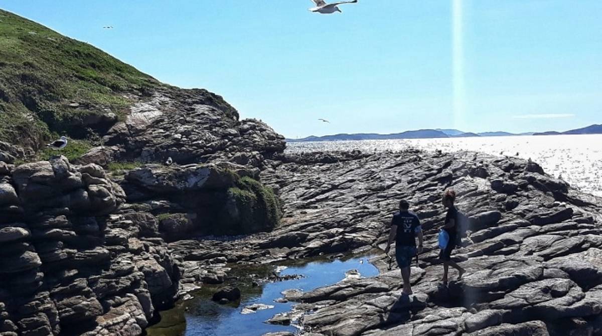 Em Arraial do Cabo, um mutirão de limpeza organizado no dia 27 de abril se concentrou em uma parte do Parque Estadual Costa do Sol - Divulgação / Inea