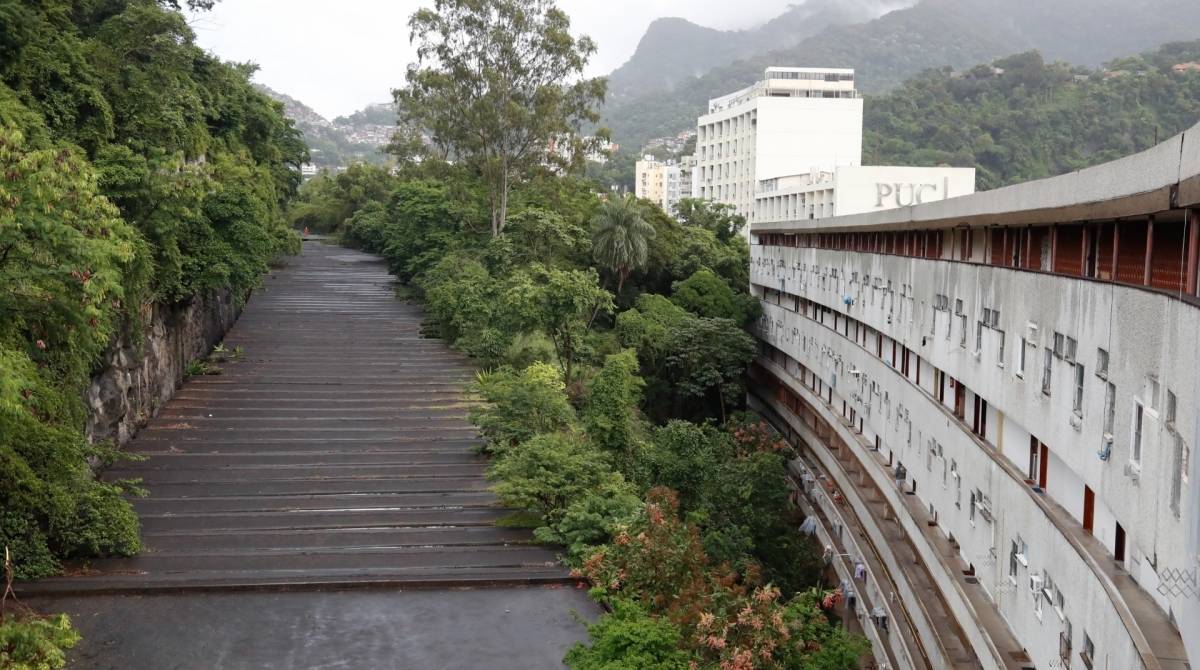 A imagem mostra as árvores que ficam entre o Túnel Acústico e o condomínio: o medo como vizinho - Gilvan de Souza